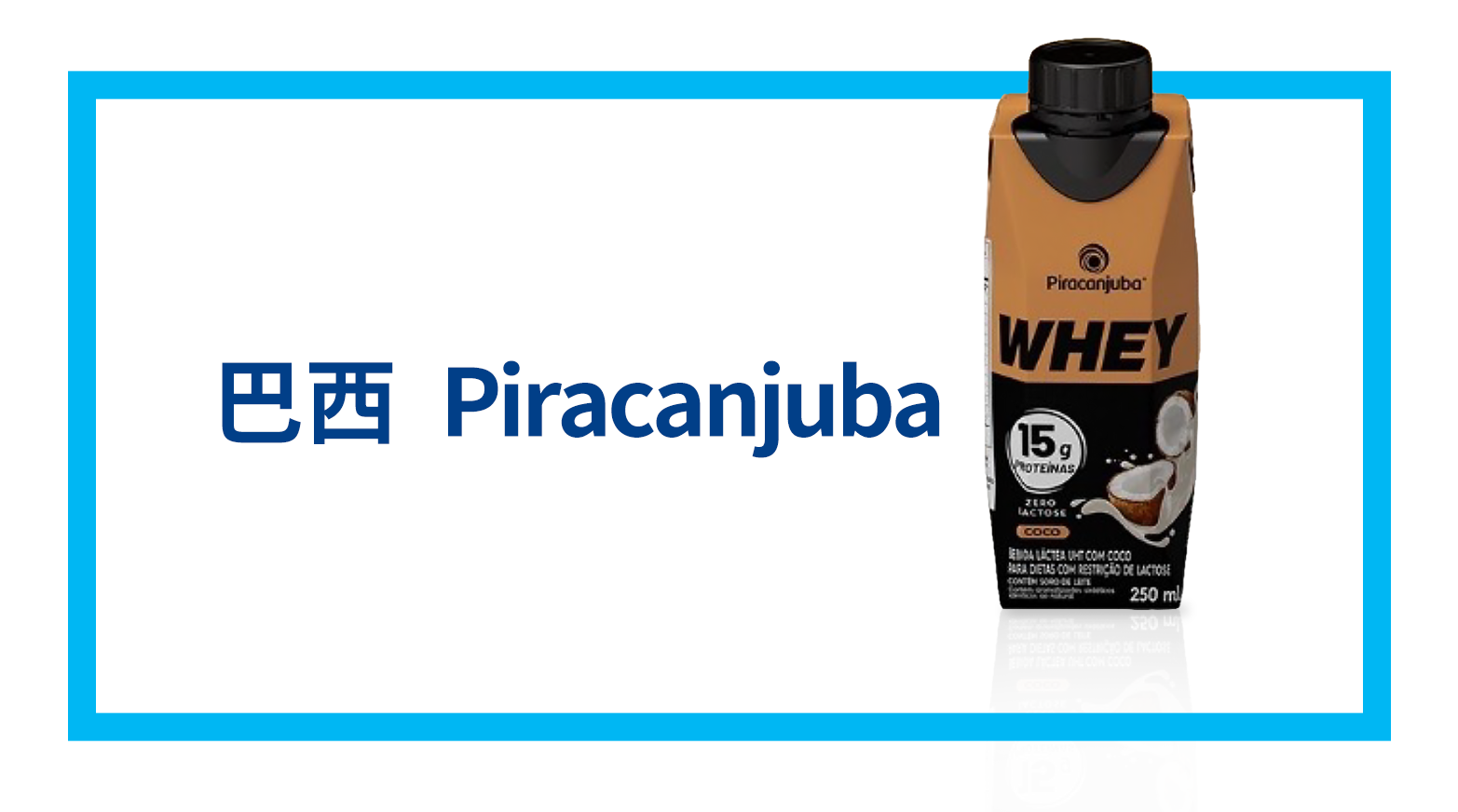 巴西 Piracanjuba