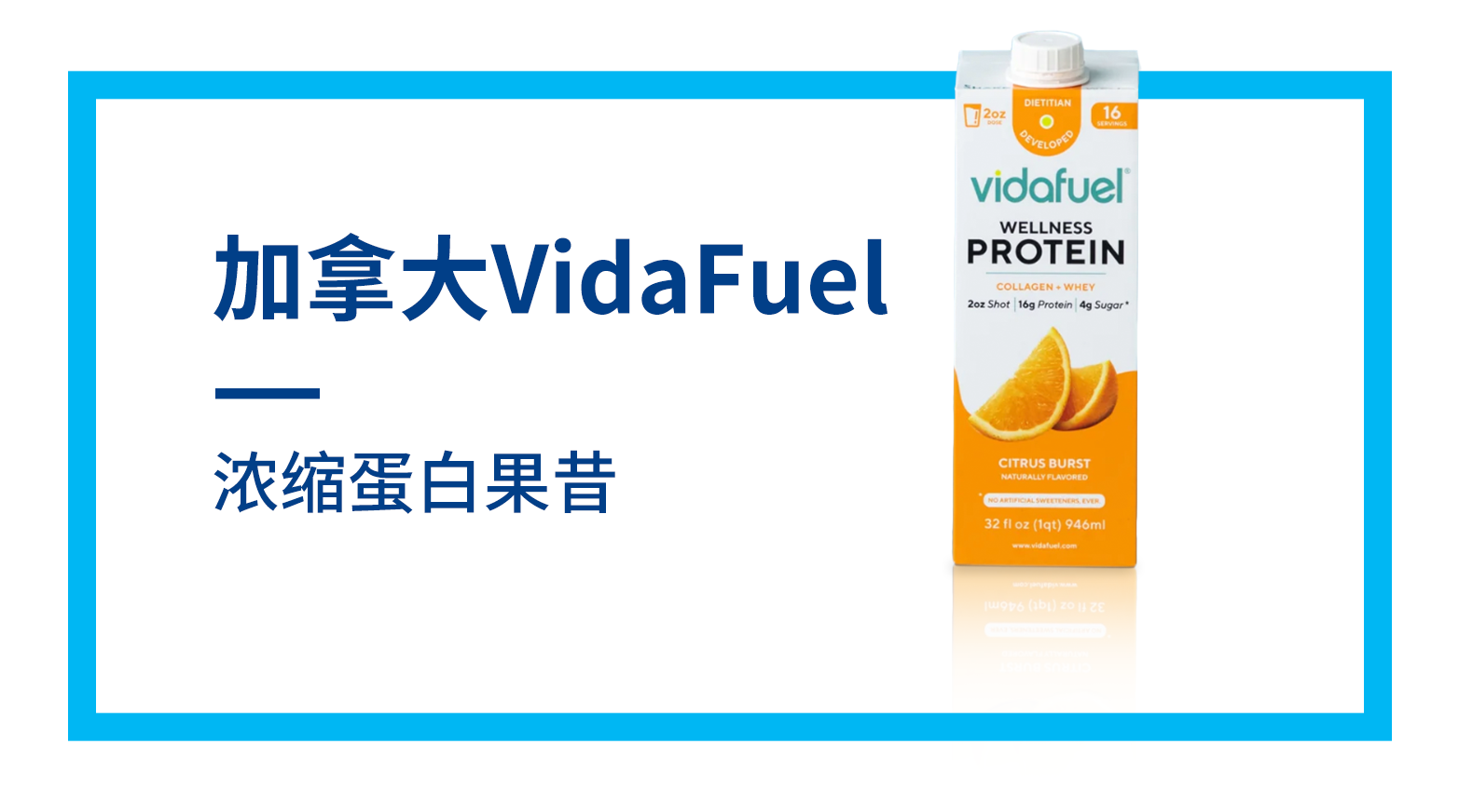 加拿大 VidaFuel 浓缩蛋白果昔